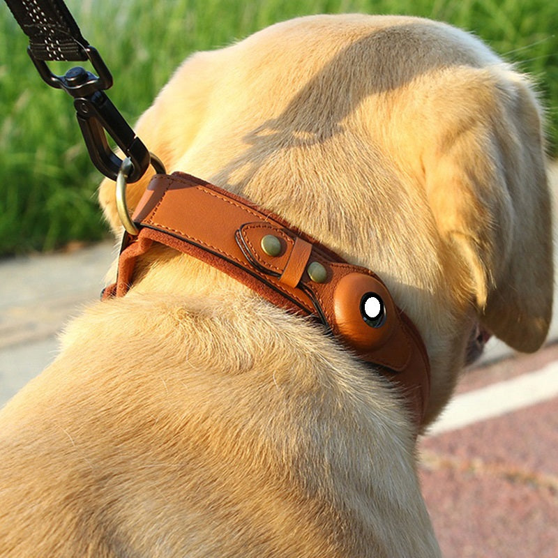 First Layer Leather Dog Collar with Location Tracker