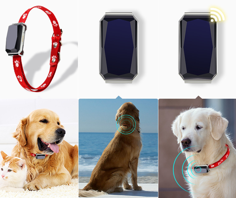 GPS Pet Tracker Collar - Multi-Functional Dog Locator